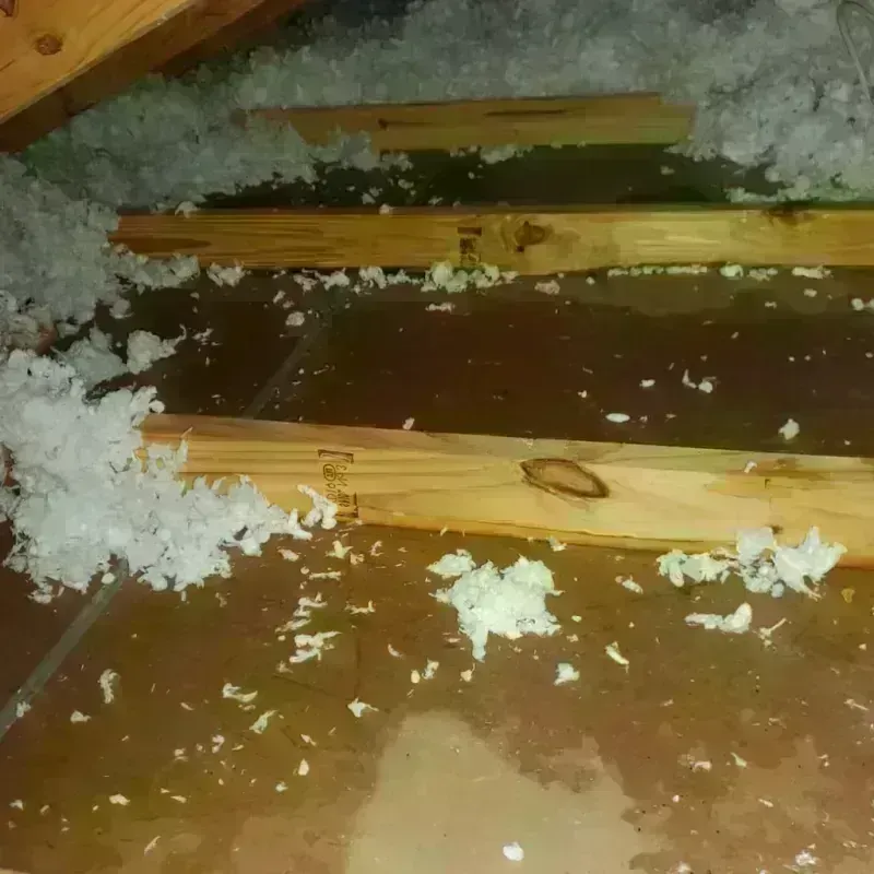 Attic Water Damage in Morton, MS