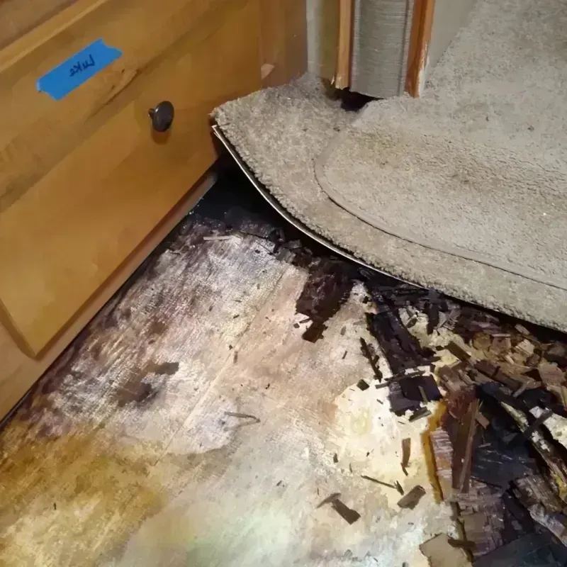 Wood Floor Water Damage in Morton, MS